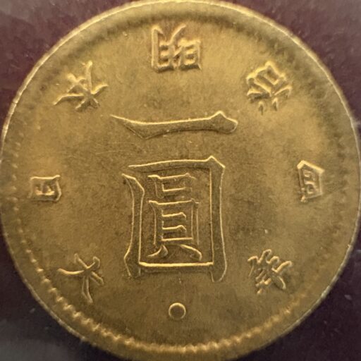 n-collectionのアバター